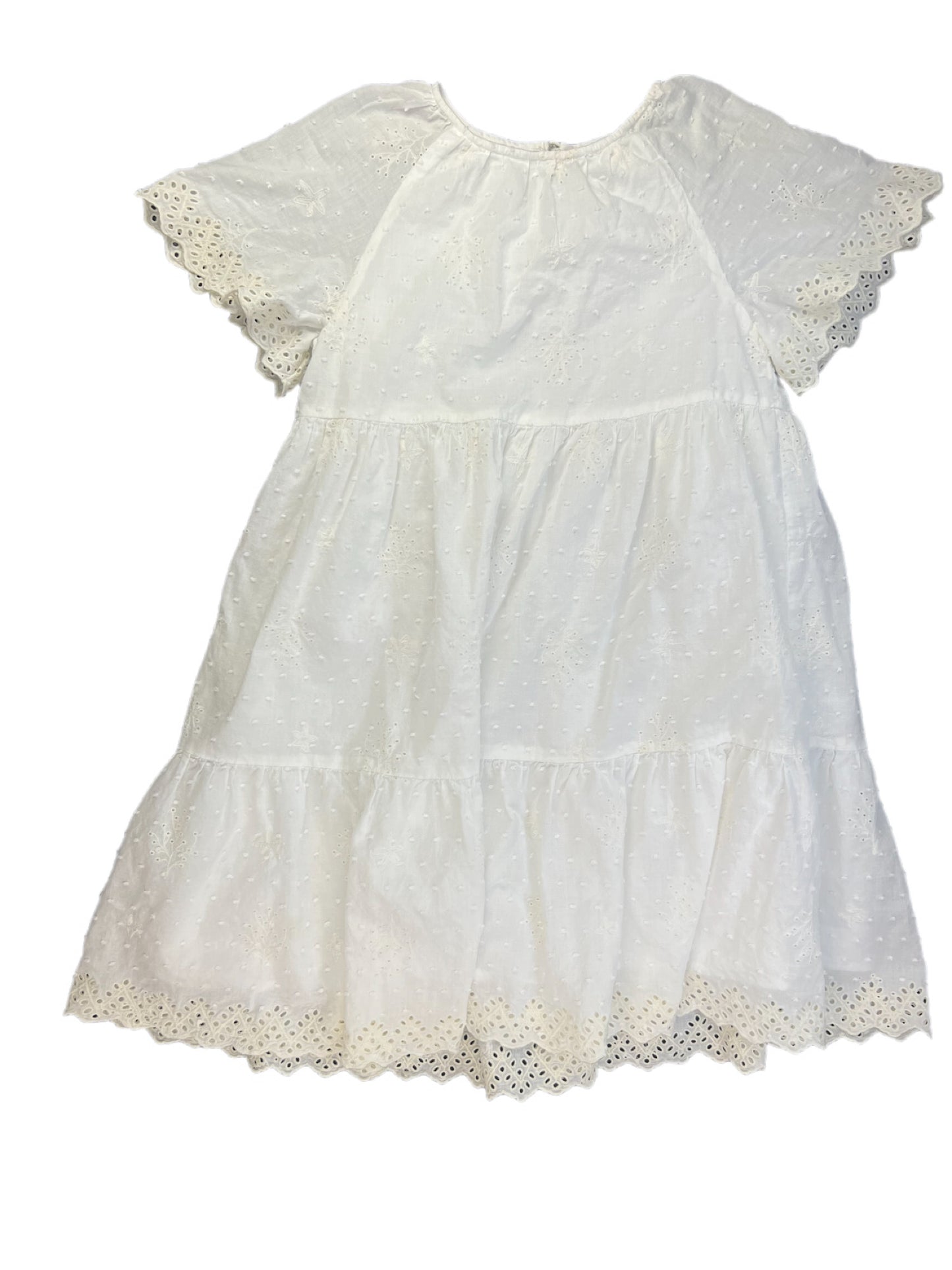 Little Mo & Co. 12Y (150)